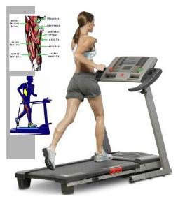 Treadmill Conditioning Workouts top rated treadmills