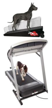 treadmill for dogs dog exercise treadmill