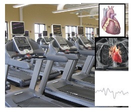 Exercise machine treadmill weight loss heart treadmill test