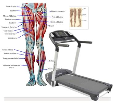 Treadmill Muscle Workouts cheap used treadmills